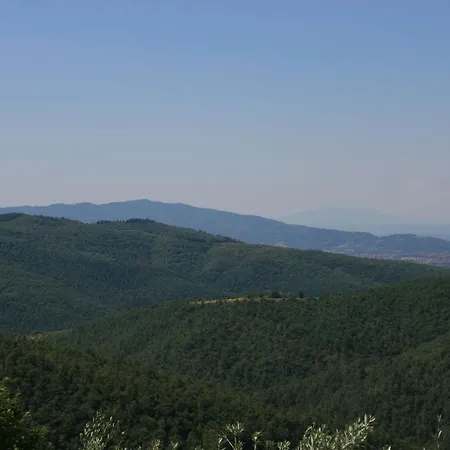 La Casina Del Bosco Subbiano